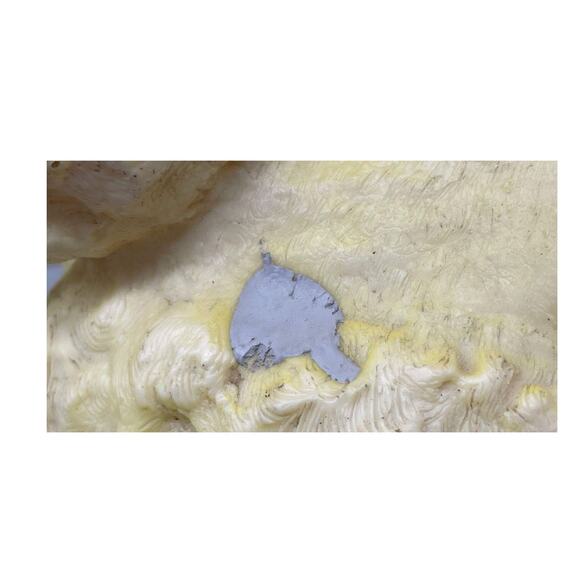 Yellow Sun Rubber Squeak Poodle Variant Ruth E Newton, 1960s - Picture 5 of 10